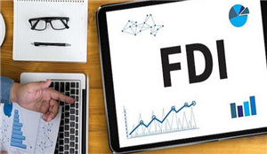 Dịch vụ và thủ tục giải thể doanh nghiệp có vốn đầu tư nước ngoài (FDI)